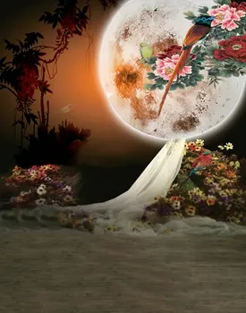 5x7ft ציור סיני ירח פרחים ציפור צילום תפאורות צילום אביזרים סטודיו רקע