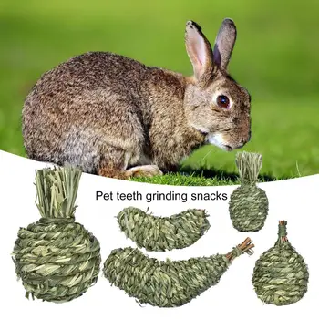 חיות מחמד צעצוע לעס פירות צורה דשא טבעי להפיג שעמום ארנב אוגר צ ' ינצ ' ילה שפן סנאי גרביל שיניים ציוד לחיות מחמד