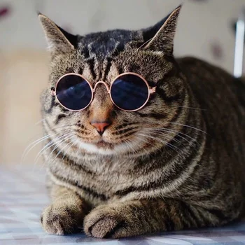 חתול כלב מיני משקפי שמש מקסים בציר סיבוב השתקפות משקפיים חתלתול הכלב אביזרים גארפילד חיות מחמד החתול אביזרים מוצרים לחיות מחמד