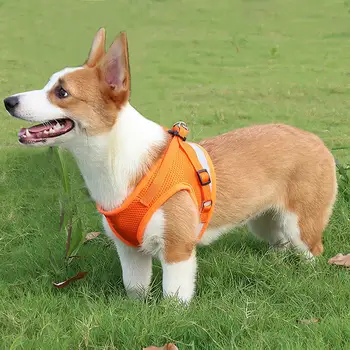 כלב מחמד החזה רצועת אחיזה בחבל 360 מעלות עיצוב משקף פיצוץ הוכחה חיצונית פוליאסטר