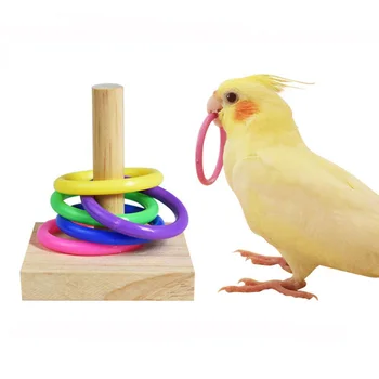 ציפור הכשרה צעצועים הגדר עץ בלוק פאזל צעצועים עבור תוכים צבעוניים טבעות פלסטיק אימון אינטליגנציה צעצוע לעיסה ציפור אספקה